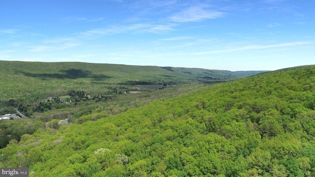 view of mountain feature