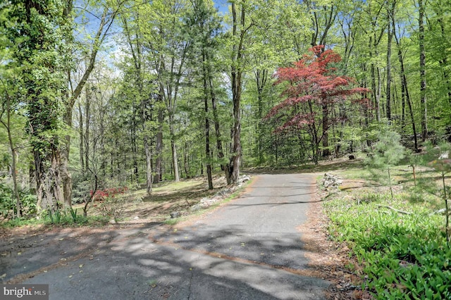 view of road