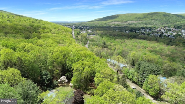 view of mountain feature