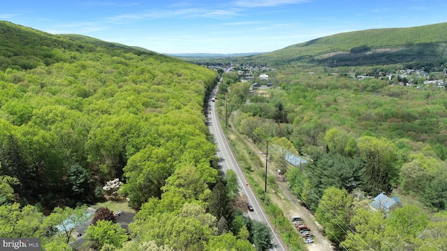 birds eye view of property with a mountain view