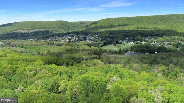 view of mountain view