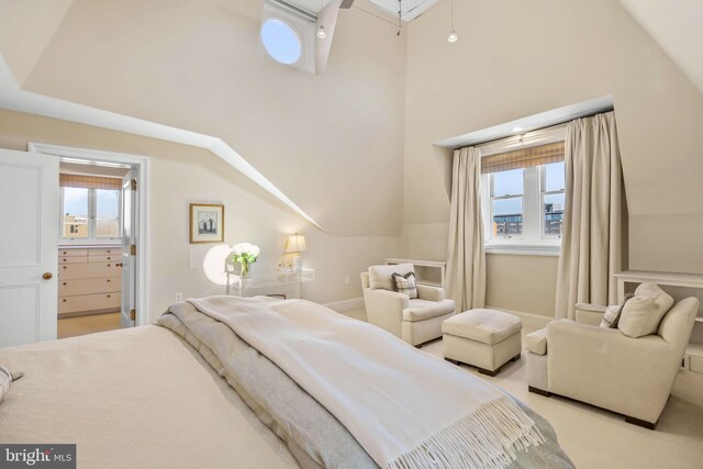 bedroom featuring light carpet, a spacious closet, and multiple windows