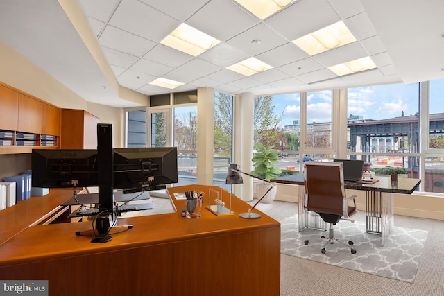 carpeted office with a paneled ceiling and expansive windows