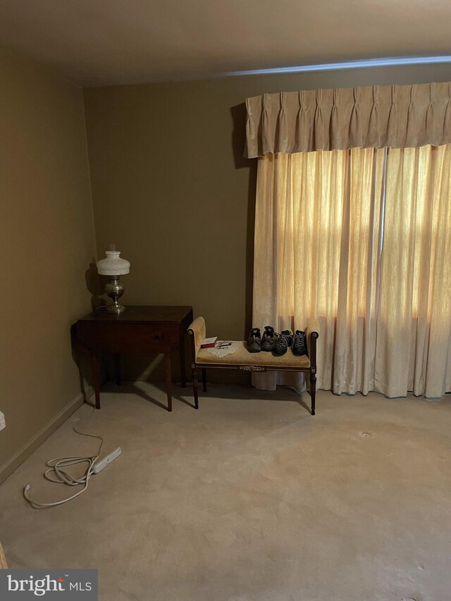 living area featuring light colored carpet