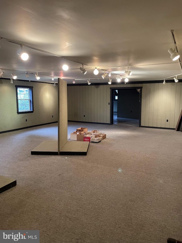 basement with carpet