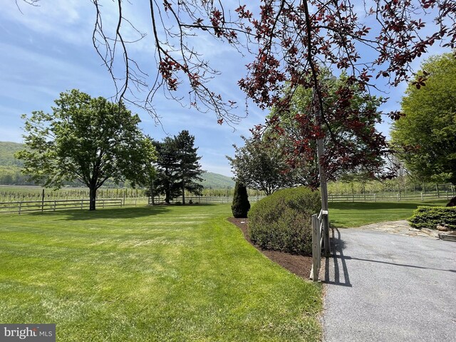 view of yard with a rural view