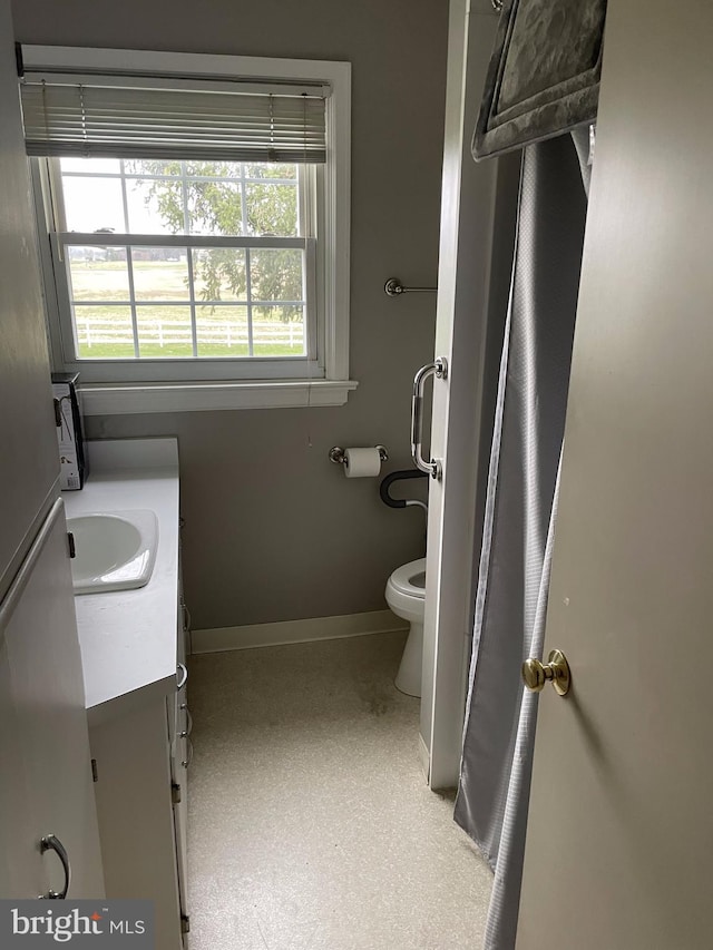 bathroom with toilet and vanity