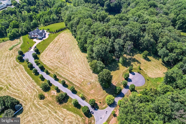 bird's eye view with a rural view