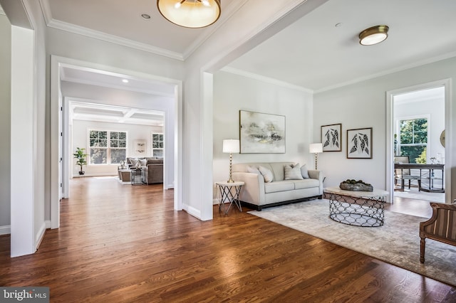 living room featuring dark wood-type flooring and ornamental molding