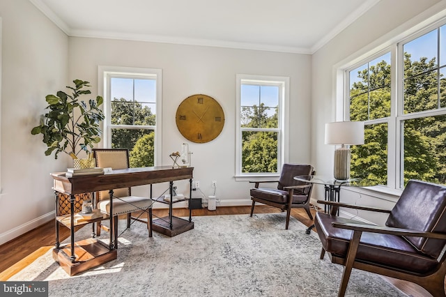 office space with crown molding, a wealth of natural light, and hardwood / wood-style flooring