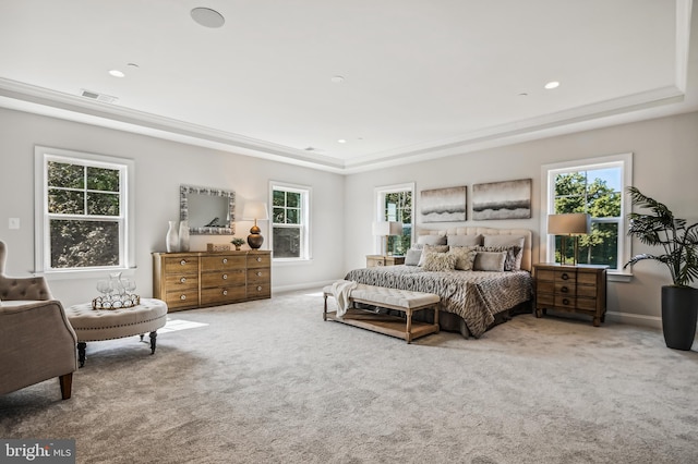 carpeted bedroom with a tray ceiling