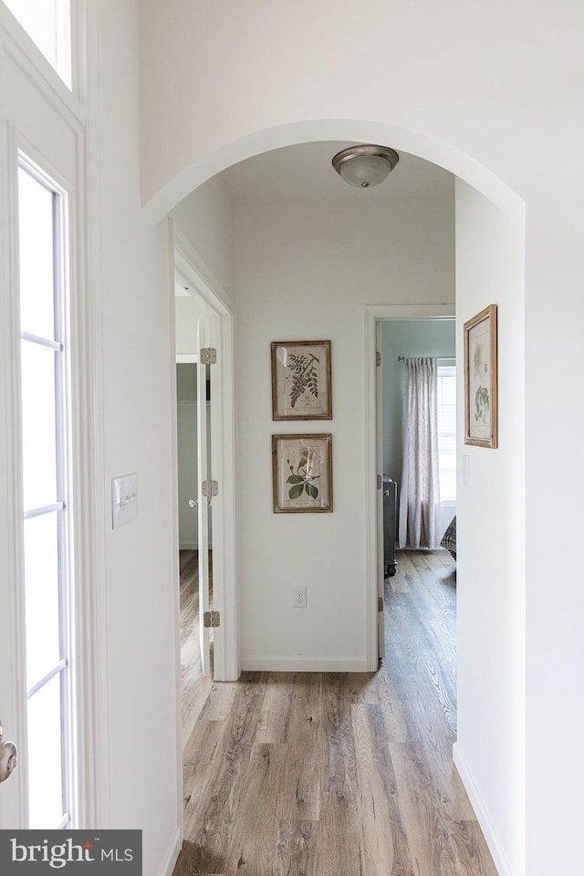 corridor with light hardwood / wood-style flooring and a healthy amount of sunlight