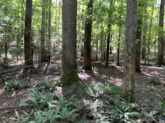 LOT1 Green Creek Rd, Old Dominion VA, 22969 land for sale