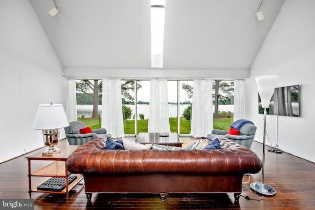 living room with dark hardwood / wood-style flooring, rail lighting, a healthy amount of sunlight, and high vaulted ceiling