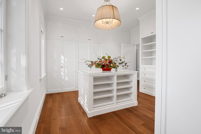 spacious closet featuring dark hardwood / wood-style flooring