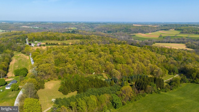 view of bird's eye view