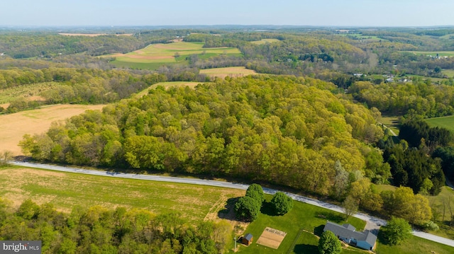 view of bird's eye view