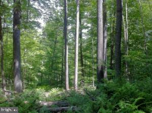 844 Crystal Rock Rd, Lusby MD, 20657 land for sale