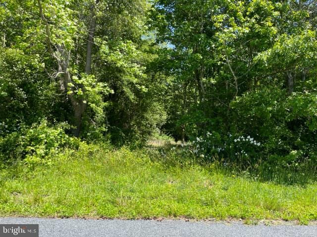 Listing photo 2 for 0 Patey Woods Rd, Newark MD 21841