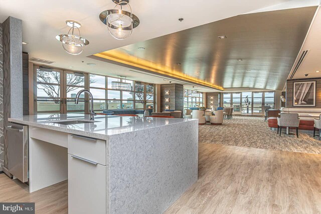 interior space with light stone countertops, sink, an island with sink, and light hardwood / wood-style flooring