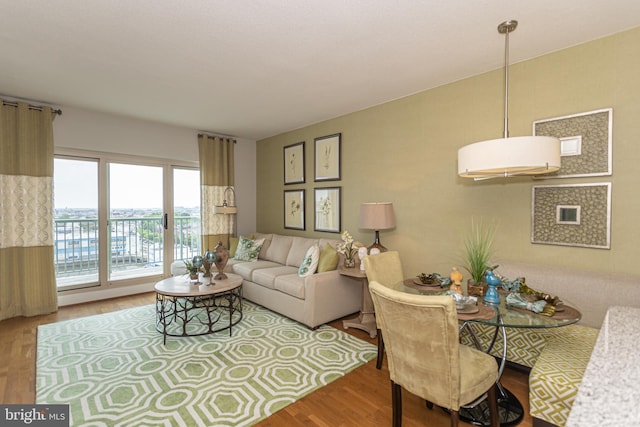 living room featuring hardwood / wood-style flooring