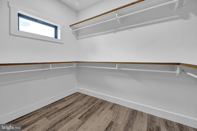 spacious closet featuring hardwood / wood-style flooring