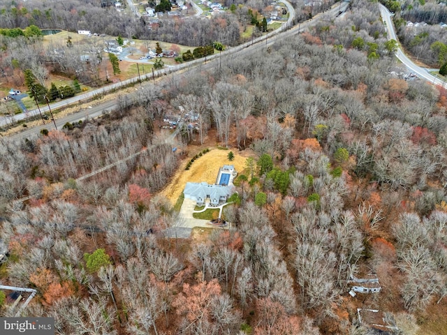 bird's eye view