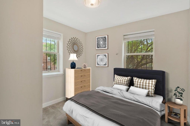 carpeted bedroom with multiple windows