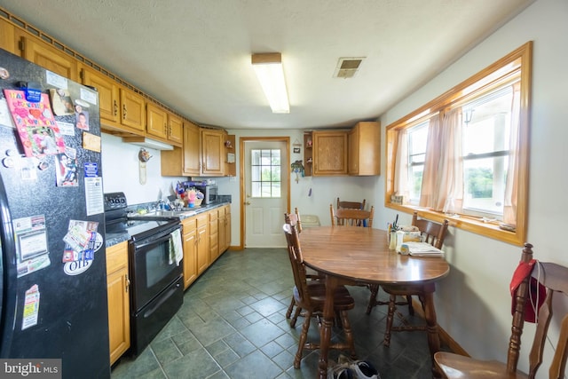 kitchen with black appliances, sink, and plenty of natural light