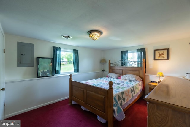 carpeted bedroom featuring electric panel and multiple windows