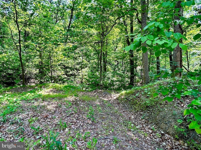 Listing photo 2 for LOT29 Sugar Maple Ln, Gerrardstown WV 25420