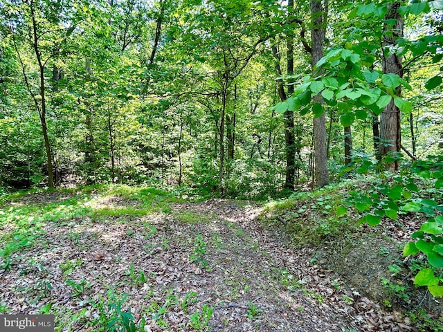 Listing photo 3 for LOT29 Sugar Maple Ln, Gerrardstown WV 25420