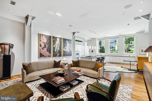 living room with light wood-type flooring