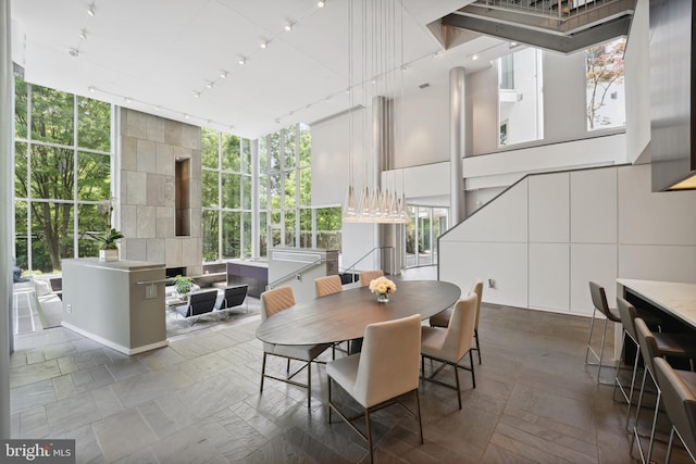 dining room with expansive windows, a towering ceiling, and rail lighting