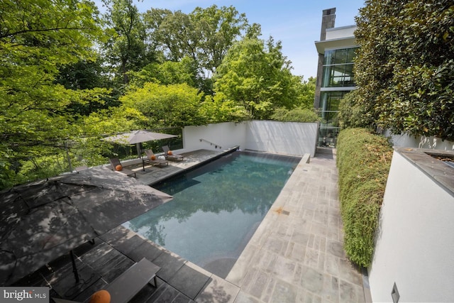 view of swimming pool with a patio area