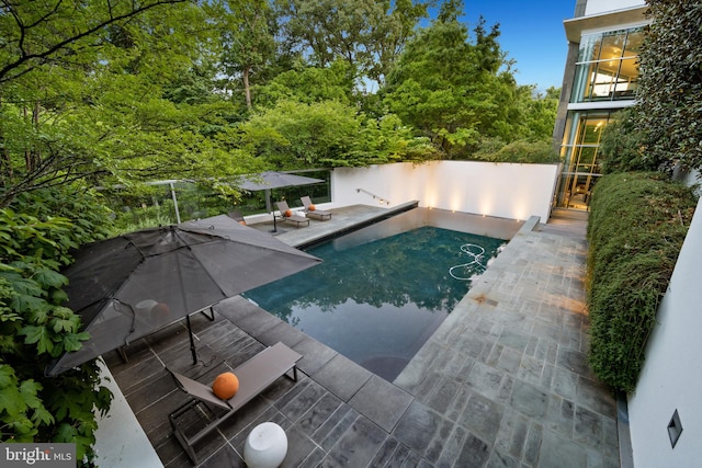 view of pool featuring a patio area