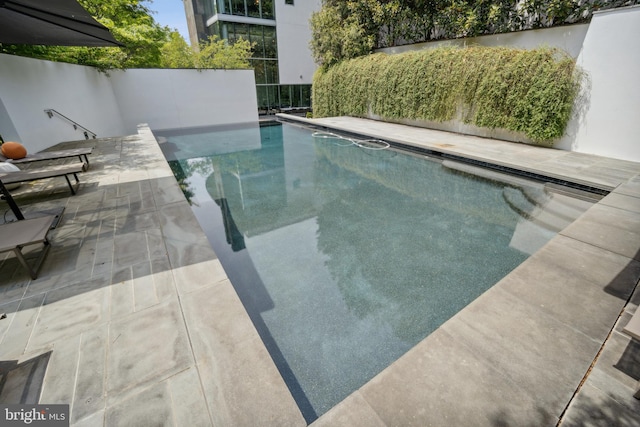 view of pool with a patio area