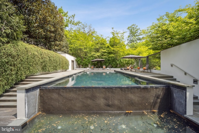 view of swimming pool with a patio area