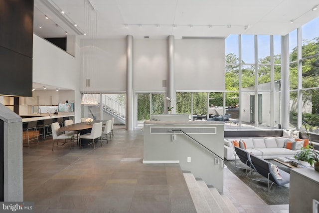 sunroom / solarium featuring rail lighting