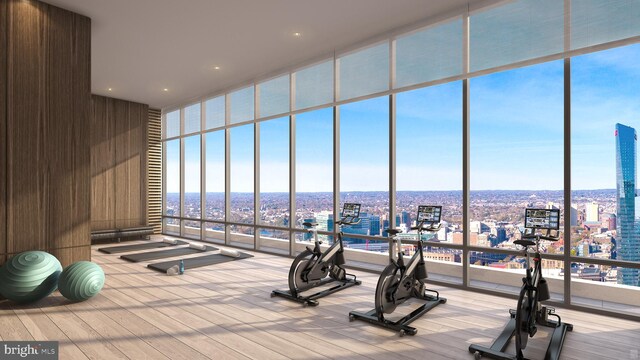 exercise room featuring floor to ceiling windows, a towering ceiling, and light wood-type flooring