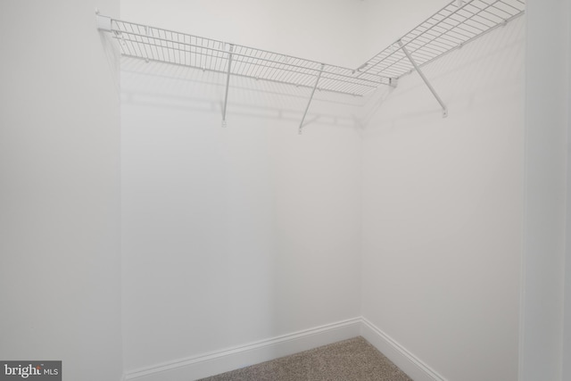 walk in closet with carpet