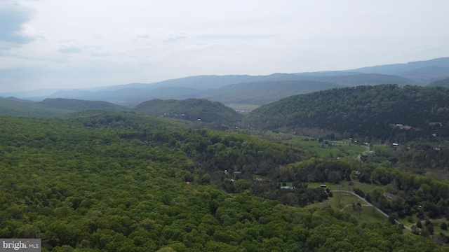 900 Moonshine Hollow Rd, Lost River WV, 26810 land for sale