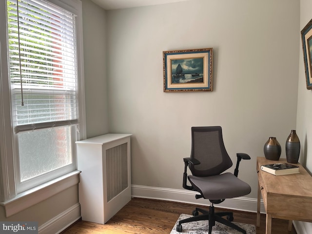 office space featuring dark hardwood / wood-style flooring