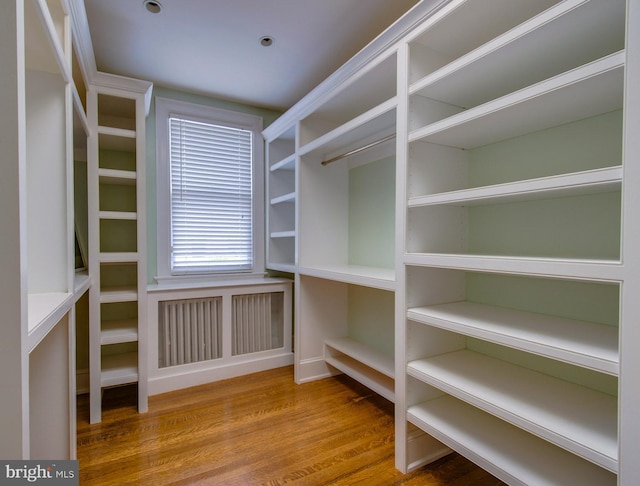 walk in closet featuring hardwood / wood-style flooring