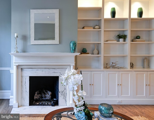 interior details featuring a premium fireplace and hardwood / wood-style flooring