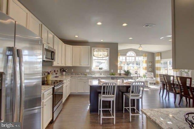 kitchen featuring dark hardwood / wood-style flooring, a center island, stainless steel appliances, and light stone countertops