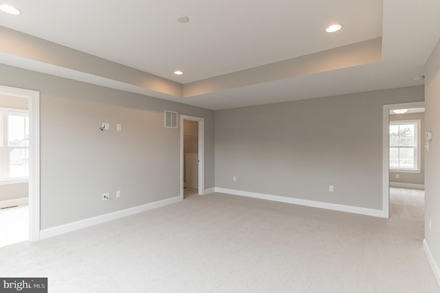 unfurnished room with light carpet and a raised ceiling