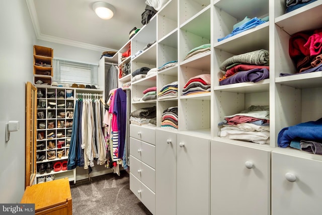 walk in closet with dark carpet