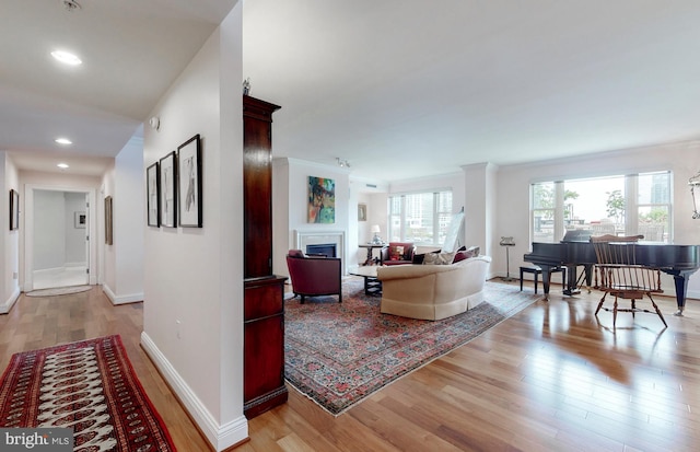 living room featuring light hardwood / wood-style floors