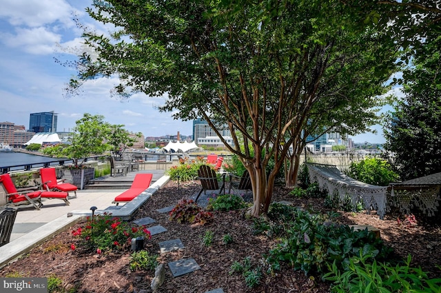 view of yard with a patio area